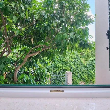 Apartment M6 *