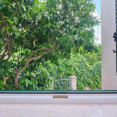 Apartment M6 *